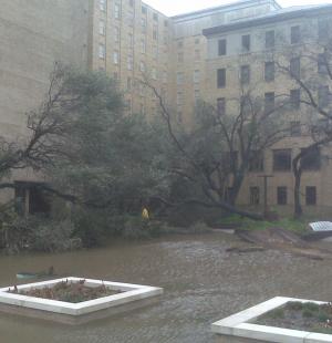 Campus-Wide Flood Mitigation Program Management and Design